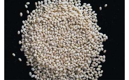 玖珠町産もち麦250g入り袋×6個 もち麦 九州 大分県 玖珠町 寒冷地 栽培 甘み 風味 特産品 麦ご飯 炊き方 白米 チャーハン カレー 雑炊 アレンジ 料理 玄米 栄養 健康 食物繊維 ヘルシー