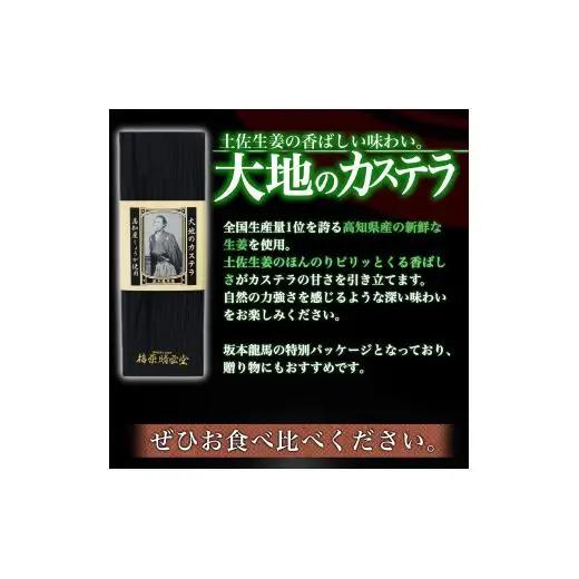 【 カステラ 】 カステラ1本
