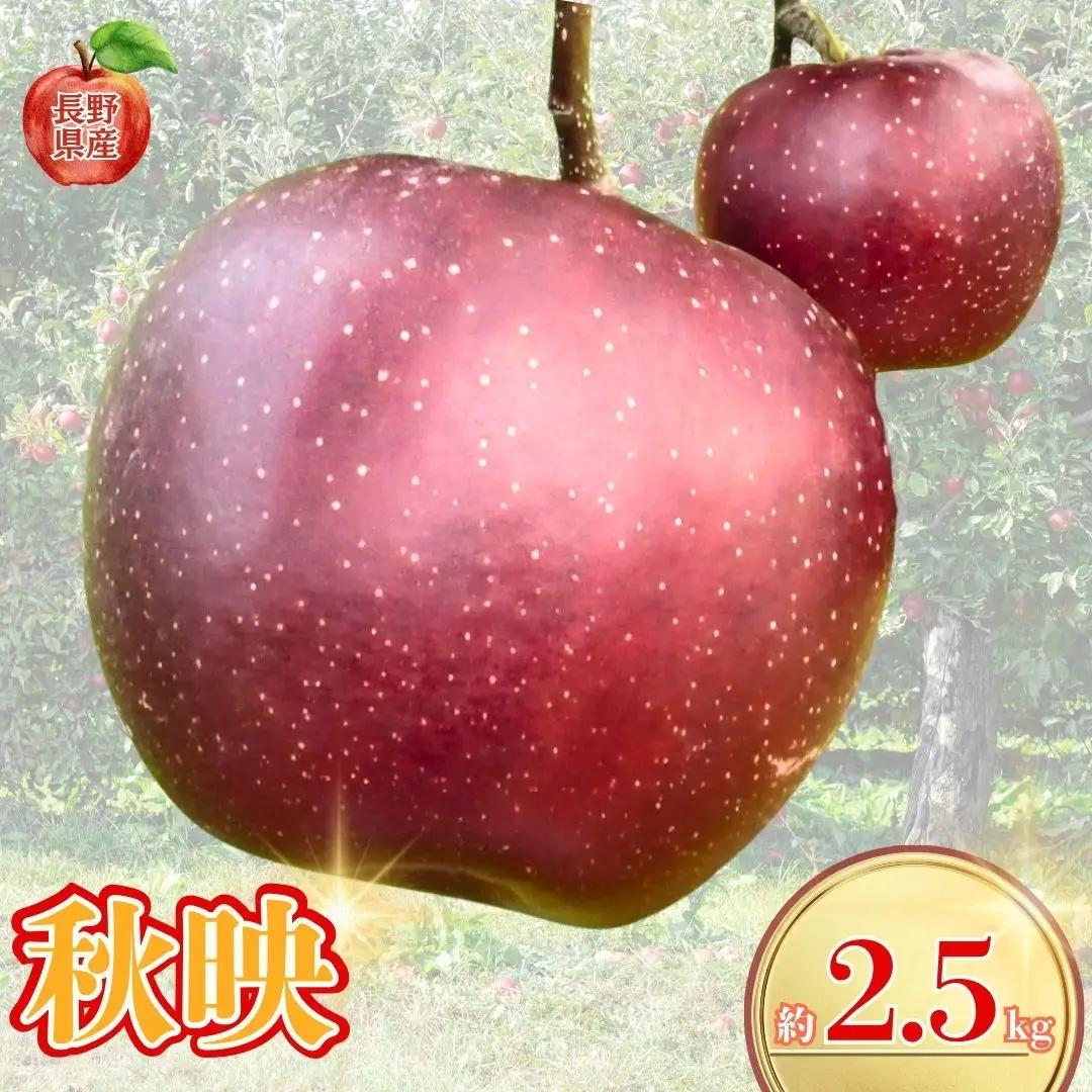 【2026年先行予約】長野県産りんご 秋映 約2.5kg｜りんご