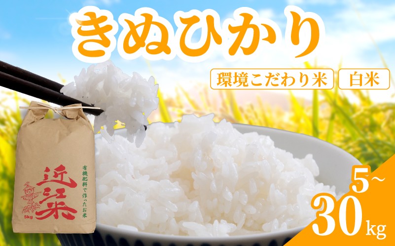 
                  【 新米予約 】 新米 令和8年産 きぬひかり 30kg ～ 5kg 白米 米 R8 年産 キヌヒカリ 2026年産 国産 農家直送 環境こだわり お試し用 単品 小分け 単品 お米 こめ おこめ ライス コメ 精米 おいしい 産地直送 人気 おすすめ 5キロ 10キロ 20キロ 30キロ kome okome 2026年産 送料無料 滋賀県 日野町 育農舎 [IN040_R8_OYA]
                