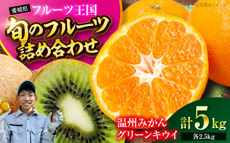 果物 詰め合わせ（みかん・キウイ 各2.5kg）果物 [AGBC010]