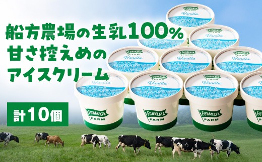 D641 船方農場のアイスクリームセット（10個入り）
