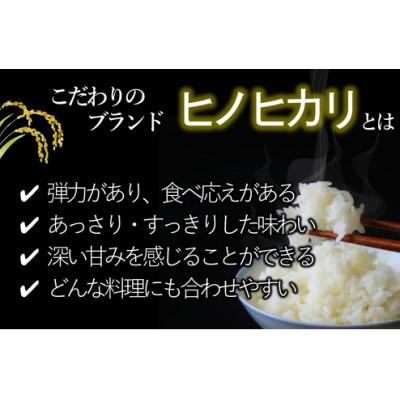 ふるさと納税 西脇市 兵庫県産【ヒノヒカリ】令和7年産・ 白米　10kg (10kg×1袋) |  | 01