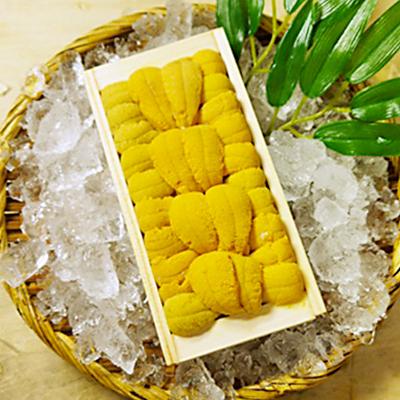 ふるさと納税 稚内市 『天然刺身用』北むらさきウニ240g |  | 01