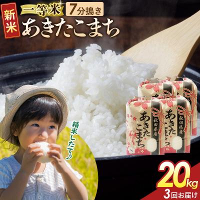 ふるさと納税 大仙市 定期3ヶ月 7分搗き あきたこまち 一等米 20kg 秋田県 R8年|22_kml-032003s | 