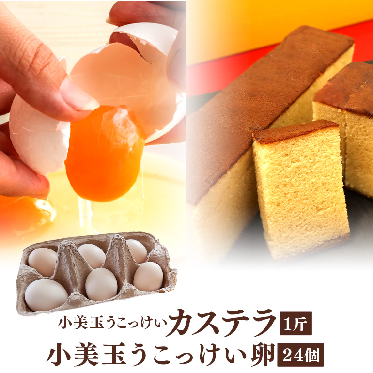 小美玉カステラとうこっけい卵（24個（20＋補償4個））セット 37-M