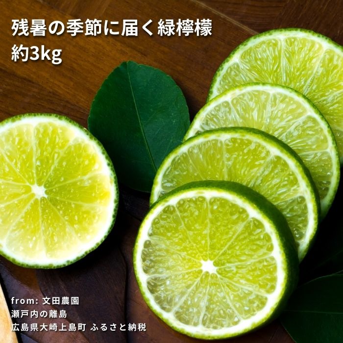 【ふるさと納税】[9月発送] 文田農園の爽やかハウスグリーンレモン 約3kg 瀬戸内 広島 大崎上島 離島 柑橘 檸檬 果物 フルーツ 贈答用 ギフト 送料無料 産地直送