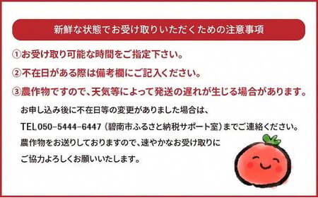 【先行受付】2027年1月～6月毎月発送 新食感!!奇跡のさくらんぼミニトマトの定期便 約500g×6回コース 野菜ソムリエサミット 金賞 受賞 長田農園 産地直送 トマト とまと 野菜 やさい フル