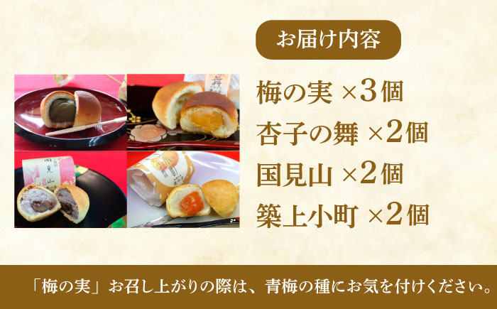 【老舗の菓子屋 鹿の子】和菓子 詰め合わせ「いろどり」4種 9個《築上町》【有限会社 御菓子司 鹿の子】 [ABAC011]