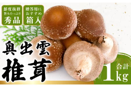 「奥出雲椎茸」秀品箱入【椎茸 生しいたけ 1kg 収穫直後 サイズ混合 新鮮 旨味たっぷり 菌床栽培 国産 きのこ キノコ 野菜 料理 食品 産地直送 自宅用】