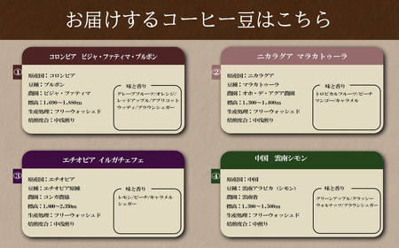 庭Cafe おすすめコーヒー豆　100g×3種【コーヒー 自家焙煎 焙煎 コーヒー豆 おすすめ ギフト 珈琲】