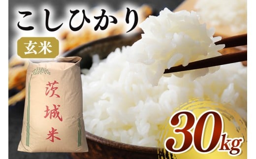 【令和７年産】コシヒカリ 玄米30kg お米 米 玄米 ご飯 ごはん 国産米 産地直送 茨城県 石岡市 B08-002