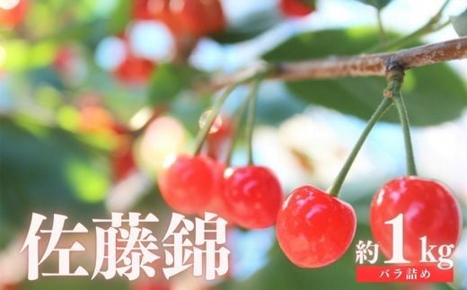 No.2414さくらんぼ「佐藤錦」約1kg（バラ詰め）【2026年発送　先行予約】