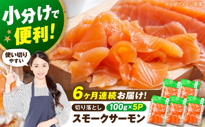 サーモン スモークサーモン 切り落とし 小分け 定期便 燻製 薫製 サーモン 前菜 おつまみ 鮭 人気 おすすめ 海鮮