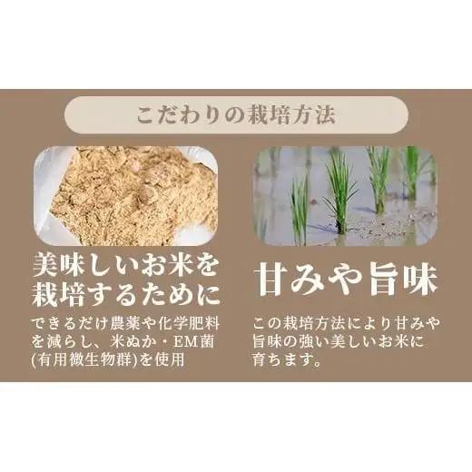 【定期便 3回】3ヶ月連続でお届け 星の美しゃ・於茂登のひかり・ひとめぼれ 5kg が毎月交互に届く(合計15kg)  石垣島産 MK-8