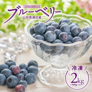 SA2400　冷凍ブルーベリー　約2kg(500g×4パック)