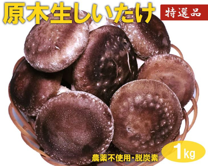 
原木生しいたけ　1Kg　※離島への配送不可 | 特大厚肉品　特選品　贈答用　農薬不使用　脱炭素 しいたけ 椎茸 シイタケ きのこ キノコ 原木栽培 ギフト 贈答 贈り物 お祝 ご褒美 記念品 プレゼント 栄養 健康 _DR02
