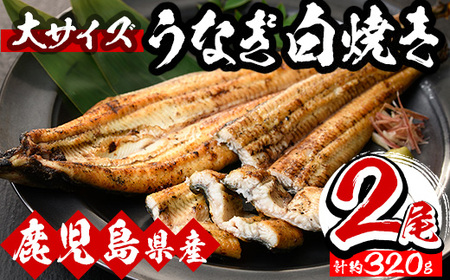 ＜数量限定＞厳選！国産（鹿児島県産）うなぎ白焼 合計2尾（自家製タレ付） 国産 うなぎ 白焼 鰻 冷凍 鹿児島 数量限定 期間限定【B-351H】