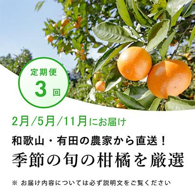 ふるさと納税 日高町 【発送月固定定期便】季節の柑橘定期便A【フルーツ定期便】【和歌山県有田】全3回 |  | 01