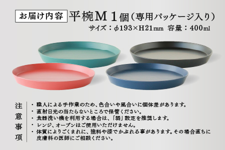 【RIN&CO.】越前硬漆 平皿M / 刷毛目技法 軽く丈夫な漆塗りの器＜越前漆器＞ノースグリーン（Ｎ-02）