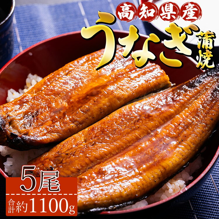 【ふるさと納税】高知県産養殖うなぎ蒲焼 5尾(合計約1100g) - タレ付き たれ 丑の日 鰻 ウナギ かばやき 蒲焼き うな丼 うな重 送料無料 須崎市道の駅 ギフト お礼 御礼 感謝 贈答 贈り物 高知県 香南市【冷凍】ss-0036