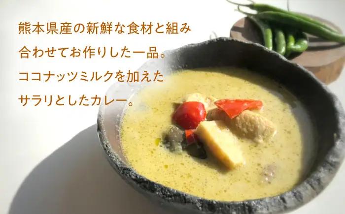 【全12回定期便】グリーンカレー 約180g×5パック 計900ｇセット 【SOUP LAB】[AYAK016]