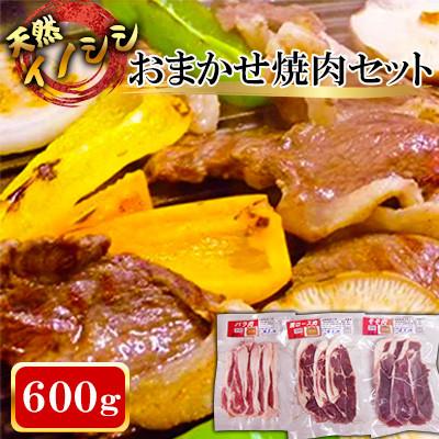 ふるさと納税 川棚町 【ジビエ 天然イノシシ肉】おまかせ焼肉セット 600g (ロース・モモ・バラ) | 