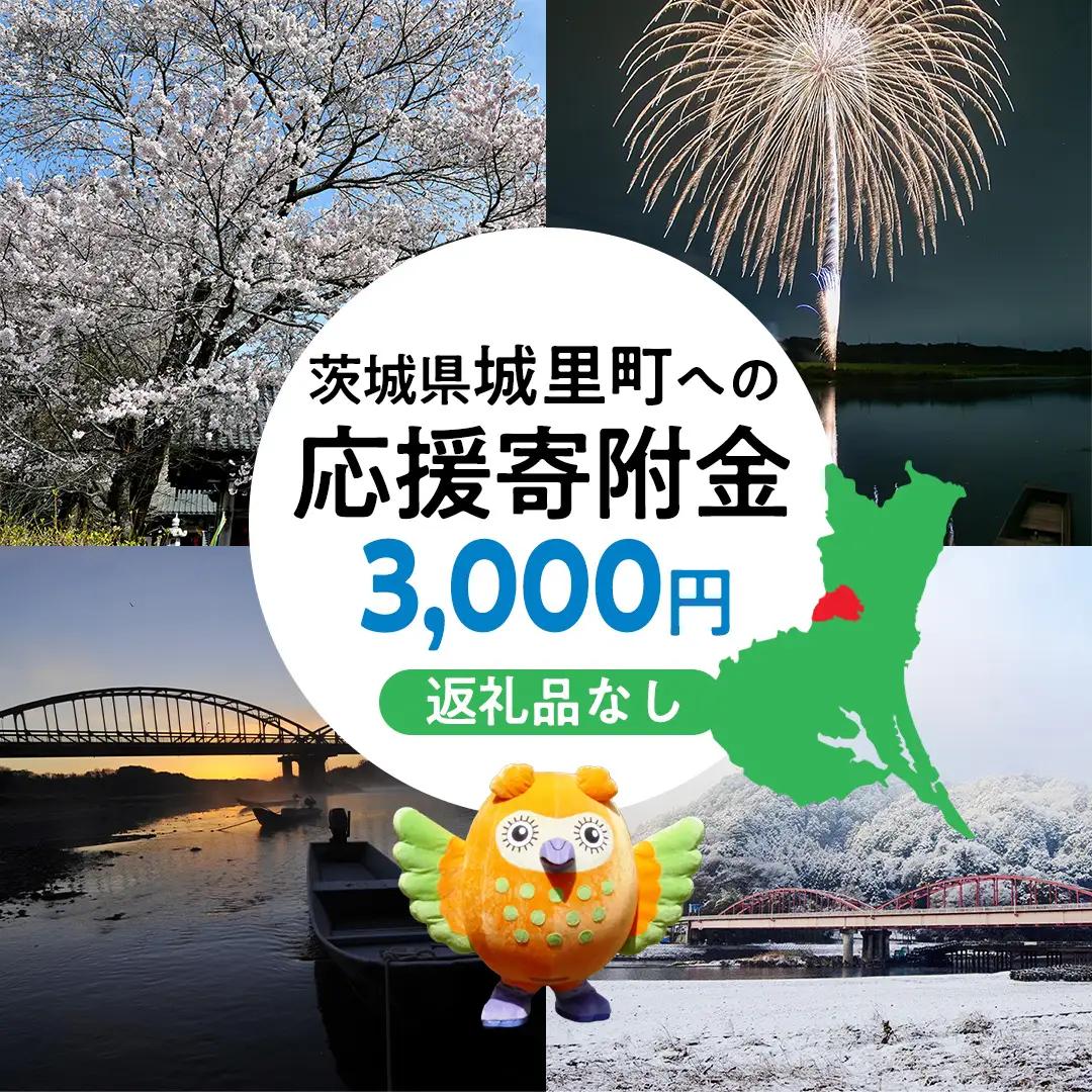 【 返礼品なし 】 茨城県 城里町 ふるさと応援寄附金 ( 3,000円 ) [ZZ001]
