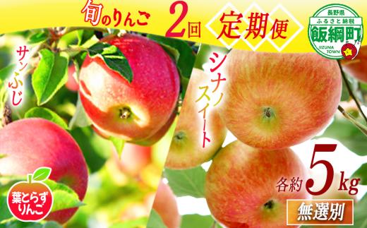 旬のりんご 【 定期便 】 葉とらず 無選別 5kg × 2回 エバラ農園 減農薬栽培 沖縄県への配送不可 2026年10月中旬頃から2026年11月下旬頃まで順次発送予定 令和8年度収穫分 長野県 飯綱町 [1881]