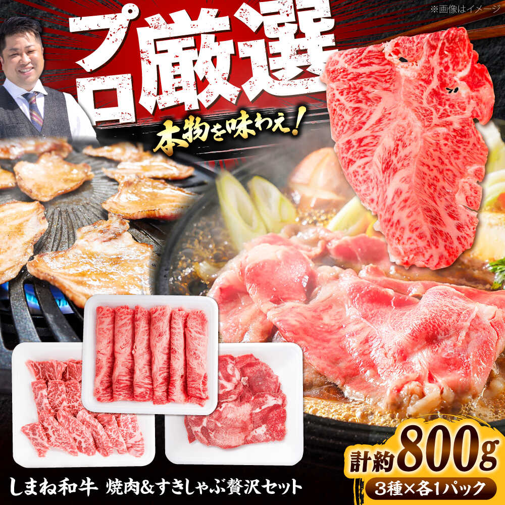【ふるさと納税】【肉料理食べ比べ！】しまね和牛焼肉＆すきしゃぶ贅沢セット（760g）和牛 牛肉 国産 国産牛 赤身 焼肉 ステーキ 人気 詰め合わせ 黒毛和牛 ギフト 島根県雲南市/株式会社O.R.C[AIEF016]