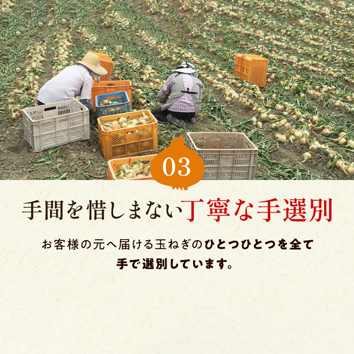 【新玉ねぎ】今井ファームの淡路島たまねぎ「かくし玉」 5kg【発送時期2026年4月下旬～5月頃】