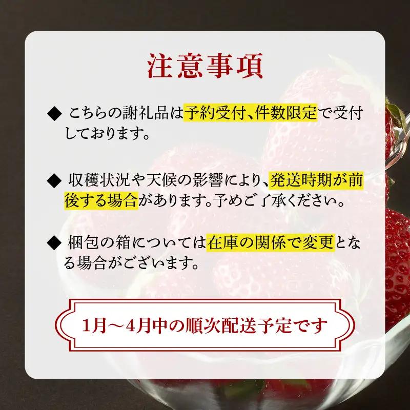玄海町産いちご 真紅の美鈴 1箱 ／ いちご【A063】