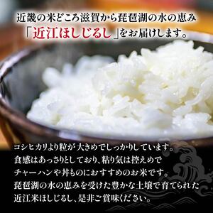 令和6年産 新米 ほしじるし 定期便 10kg 全3回 白米 5kg × 2袋 3ヶ月 近江米 ホシジルシ 国産 お米 米 おこめ ごはん ご飯 白飯 しろめし こめ ゴハン 御飯 滋賀県産 竜王 ふ