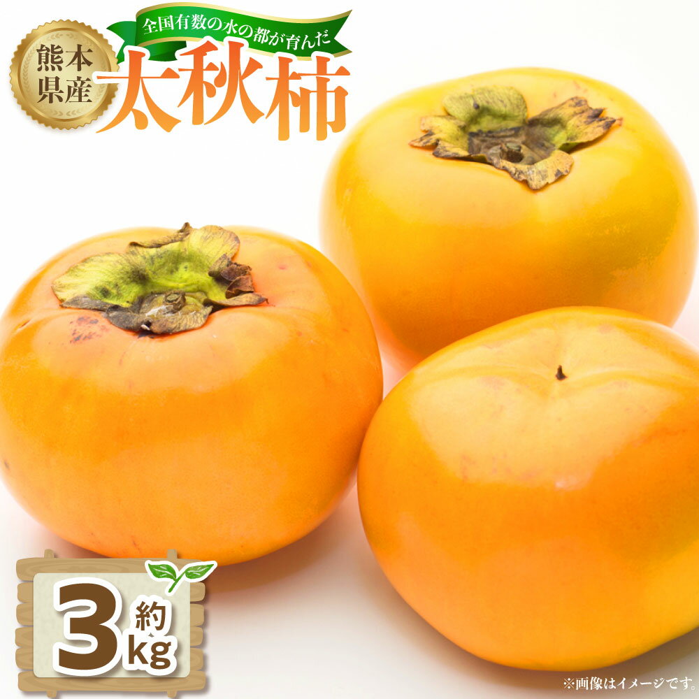 【ふるさと納税】熊本県産太秋柿 約3kg（12玉） 【2026年10月下旬発送開始】 熊本県産 国産 柿 かき カキ おやつ 果物 果実 フルーツ 3kg 12玉 九州 熊本県 送料無料