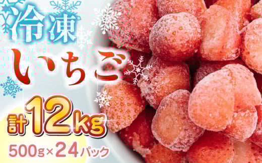 【数量限定】 冷凍 いちご 計12kg ( 500g × 24P ) 農園直送 産地直送 熊本県産 山都町産 イチゴ 苺 ストロベリー フルーツ 果物 【なかはた農園】[YBI006] 