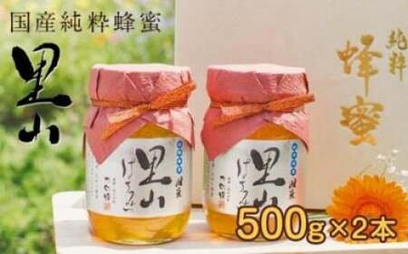 かの蜂 国産里山蜂蜜【500g×2本】セット　養蜂一筋60年自慢の一品　024-020