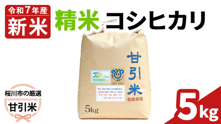 令和7年産 桜川市の 厳選甘引米 コシヒカリ 精米 5kg 桜川市産 コシヒカリ こしひかり 米 こめ コメ 茨城県 いばらき 有機肥料 [BA004sa]