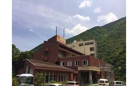 ホテル 宿泊券 サンリバー大歩危 ペア宿泊券 露天風呂付客室 1泊2食付 徳島県 三好市