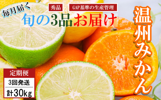 【 先行予約 】 【 3回定期便 】くまもと柑橘 みかんの定期便 約 10kg 9月末頃より発送開始 | みかん ミカン 極早生 早生 太陽の雫 太陽のしずく 温州 柑橘 柑橘類 フルーツ 果物 家庭用 熊本 和水