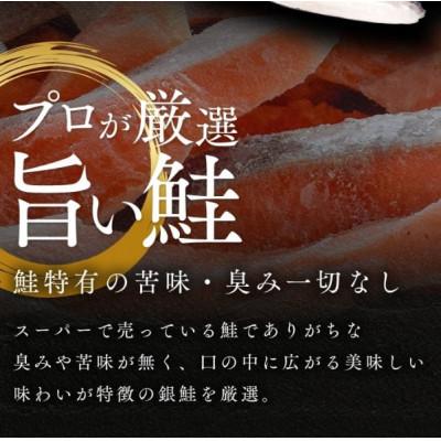 ふるさと納税 若狭町 【毎月定期便】【訳あり】塩銀鮭 切り身 500g全2回 |  | 01