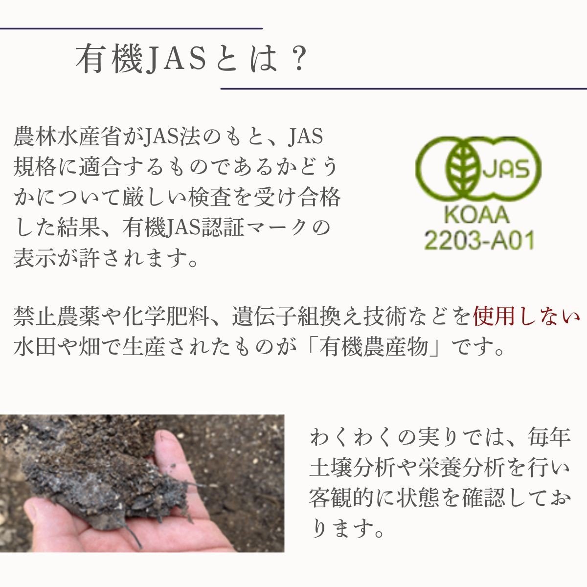 アスパラガス 【先行予約】オーガニック サマーグリーンアスパラガス  M 500g or 1kg アスパラガス あすぱらがす