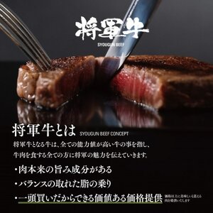 【将軍牛】特選ヒレステーキ 300g【配送不可地域：離島】【1653413】
