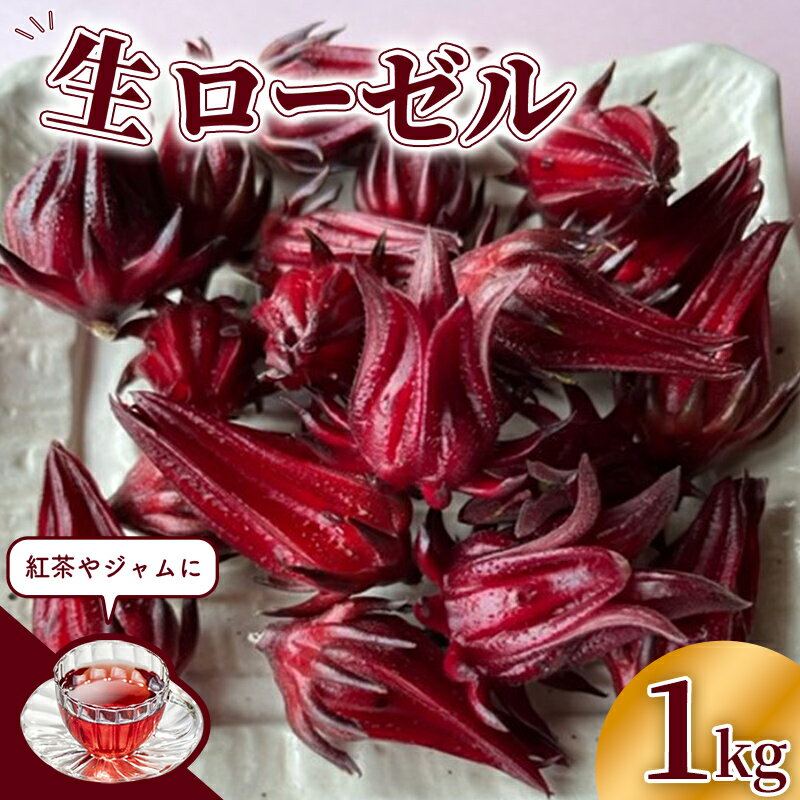 【ふるさと納税】【先行受付】生ローゼル 約1キロ - 2026年11月以降順次発送 ハイビスカスローゼル 1kg フレッシュ ハーブ ビタミン ミネラル クエン酸 アントシアニン ポリフェノール 国産ハーブ 沖縄県産 沖縄県 八重瀬町