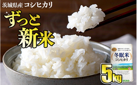 令和6年産 コシヒカリ 冬眠米 5kg 茨城県産 白米 精米 ごはん お米 冬眠 とうみんまい ブランド米 検査米 単一原料米 国産 守谷市 送料無料