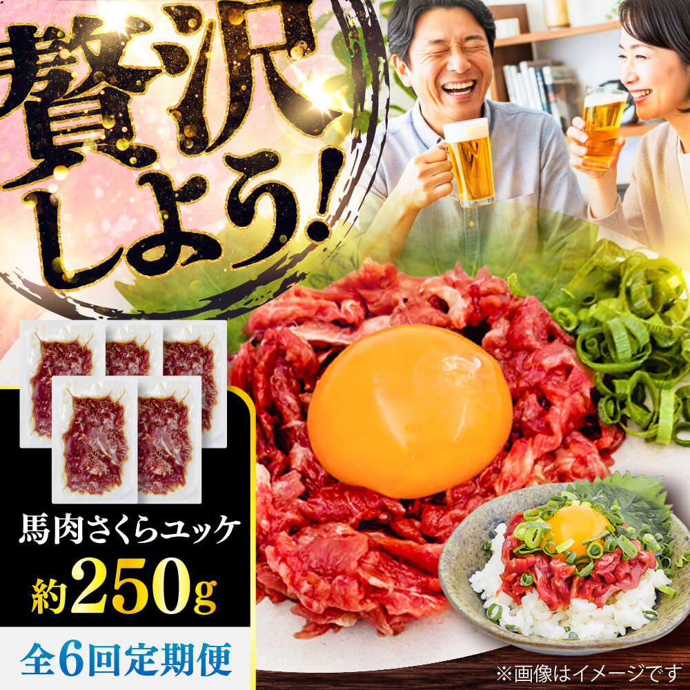 【ふるさと納税】【全6回定期便】馬肉さくらユッケ 約250g(約50g×5パック) / 馬肉 ユッケ 馬刺しユッケ 小分け 生食用 熊本肥育 桜ユッケ 馬刺し 熊本県 おつまみ 晩酌 菊陽町【五右衛門フーズ】[BHCY031]