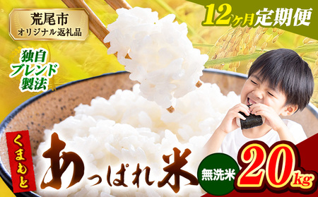【12ヶ月定期便】 熊本県産 くまもとあっぱれ米 20kg  熊本県産 ふるさと納税 無洗米 精米 米 こめ ふるさとのうぜい コメ お米 おこめ《お申込み翌月から出荷》