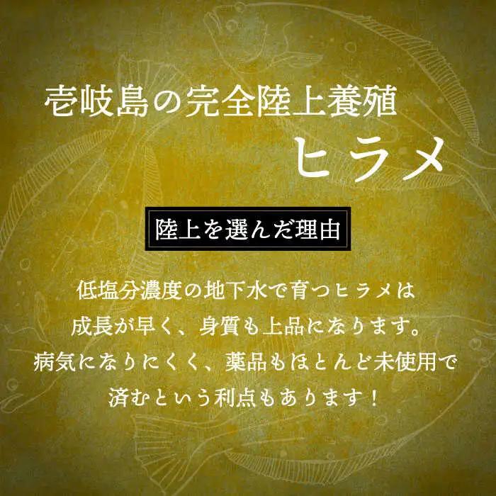 壱岐産 ヒラメフィレ 450gから500g [JDT007]