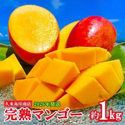 マンゴー【2026年発送】久米島印商店 完熟マンゴー 約1kg  フルーツ 果物