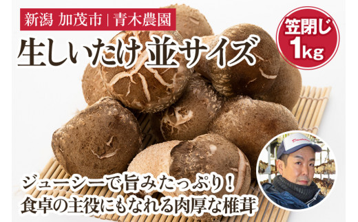【2025年先行予約】生しいたけ 並サイズ（笠閉じ） 約1kg（23～35個）《11月上旬から順次出荷》 品評会で金賞受賞！ ききのこ しいたけ 椎茸 特大 食べ応えある大きさ 肉厚で旨味たっぷり！ 加茂市 青木農園