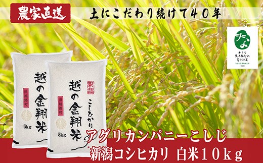 
                  J8-7C101B【越の金翔米】新潟県長岡産コシヒカリ10kg【「小さな生き物たちと育むお米」認証品】
                